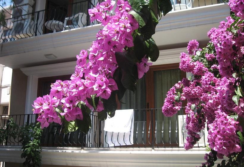 Kumsal Butik Otel Adalar Zewnętrze zdjęcie
